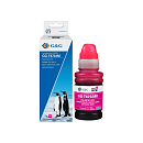  G&G C13T67334A  100 ml