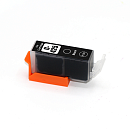   NV Print PGI-425PGBk (NV-4532B001) Black