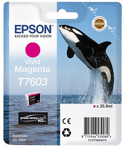  EPSON T7603   SC-P600 (C13T76034010/C13T76034N10)