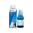  G&G C13T67354A - 100 ml